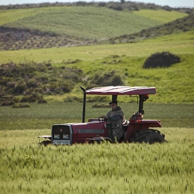 agricoloquadrato